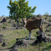 Photo de Bali - Amed